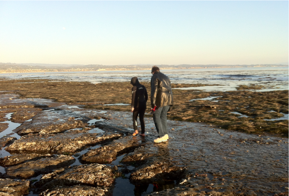 Emily Mitnick with Grandma walking on the beach.