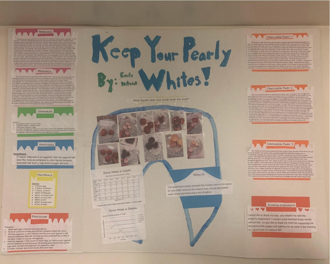 Emily Mitnick summarized the project with charts and conclusions.